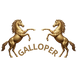 GALLOPER™  – Inicio