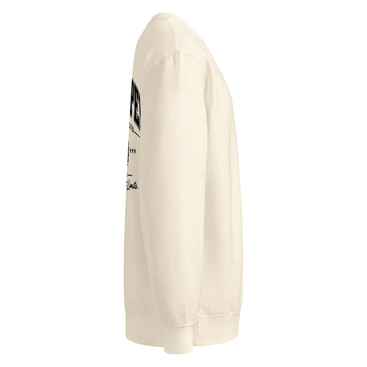 Premium Crew Neck Sweatshirt